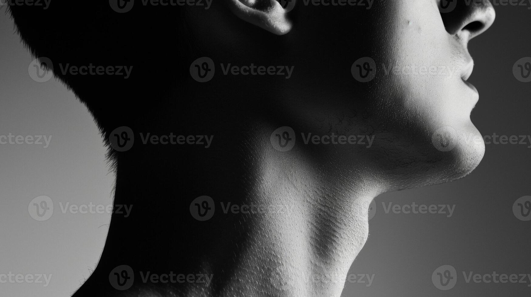 The curve of a neck is traced by a thin sliver of light casting a shadow against the soft skin and accentuating the hidden contours of the body. photo