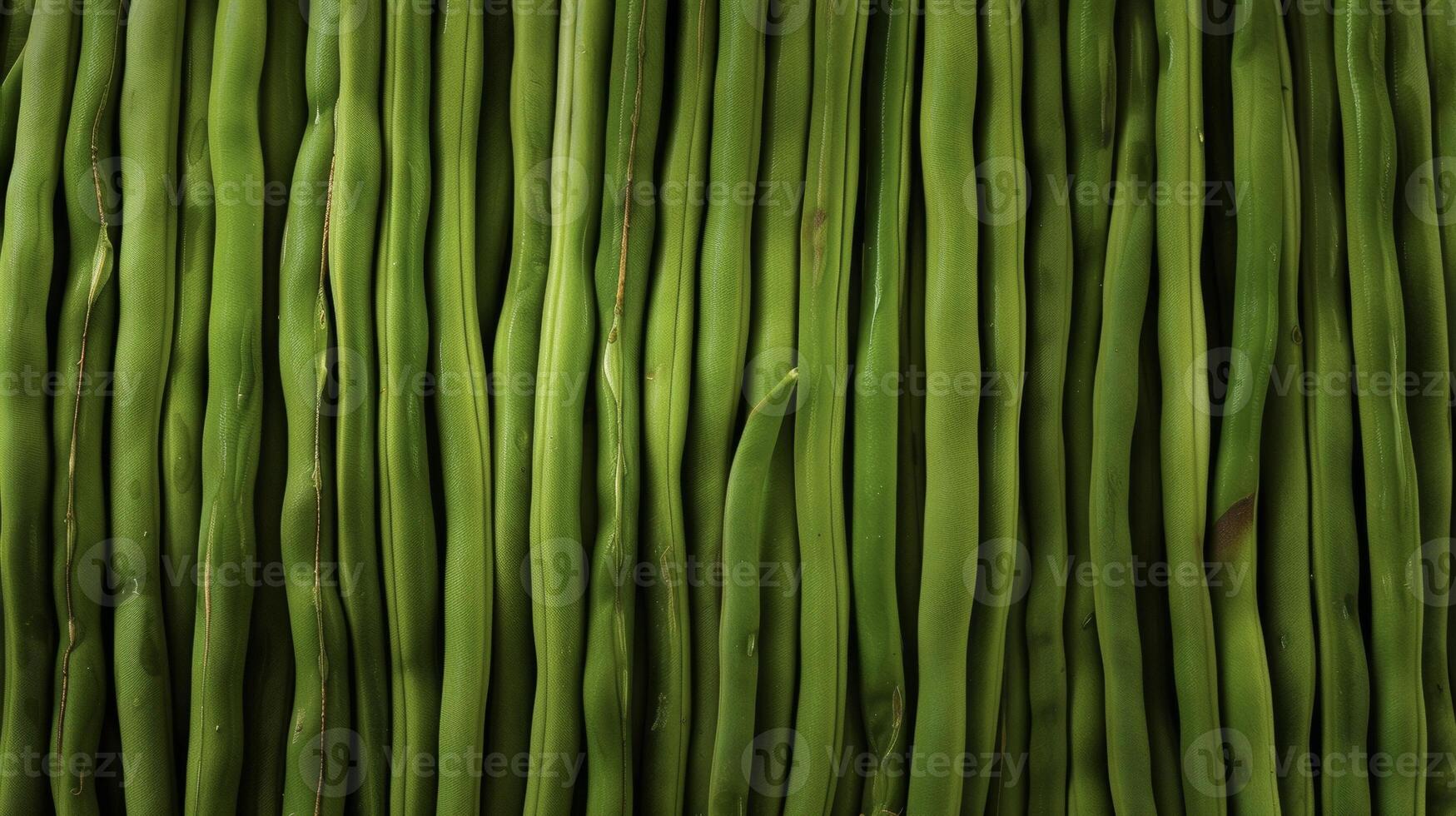 A row of slender green beans freshly picked and lined up in a neat pile showcasing their crispness and vibrant color photo