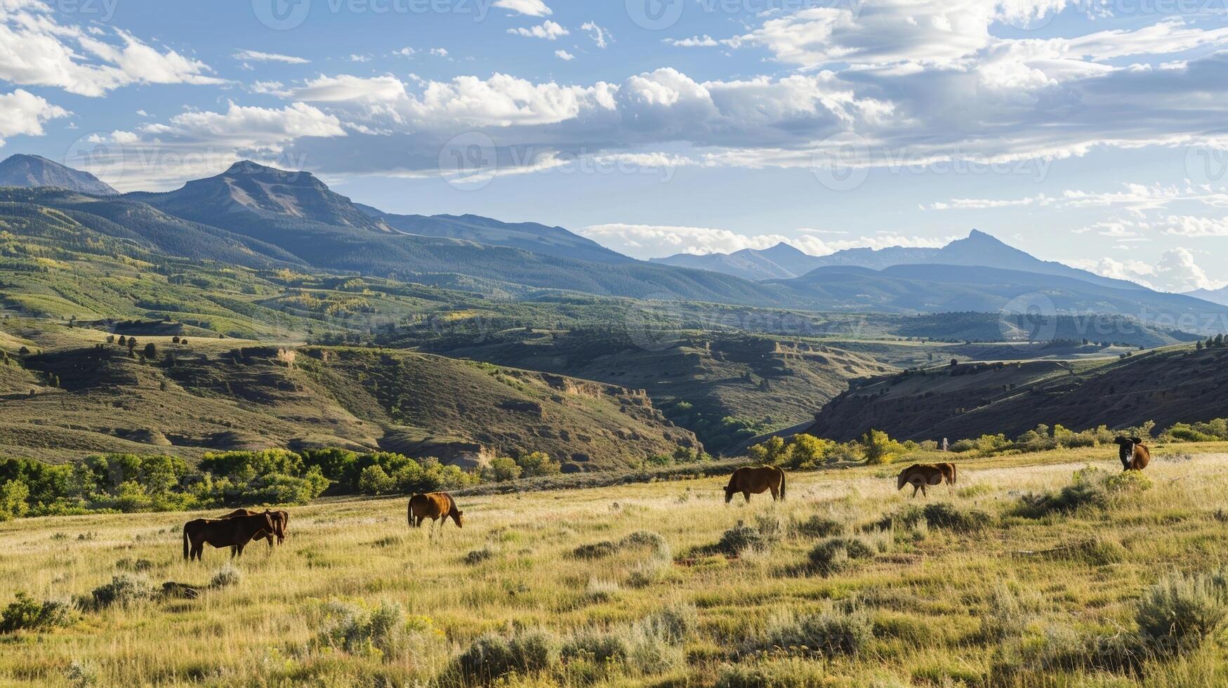 During downtime participants can explore the surrounding wilderness observing wild mustangs and grazing cattle or simply take a moment to reflect while gazing at the panoramic views photo