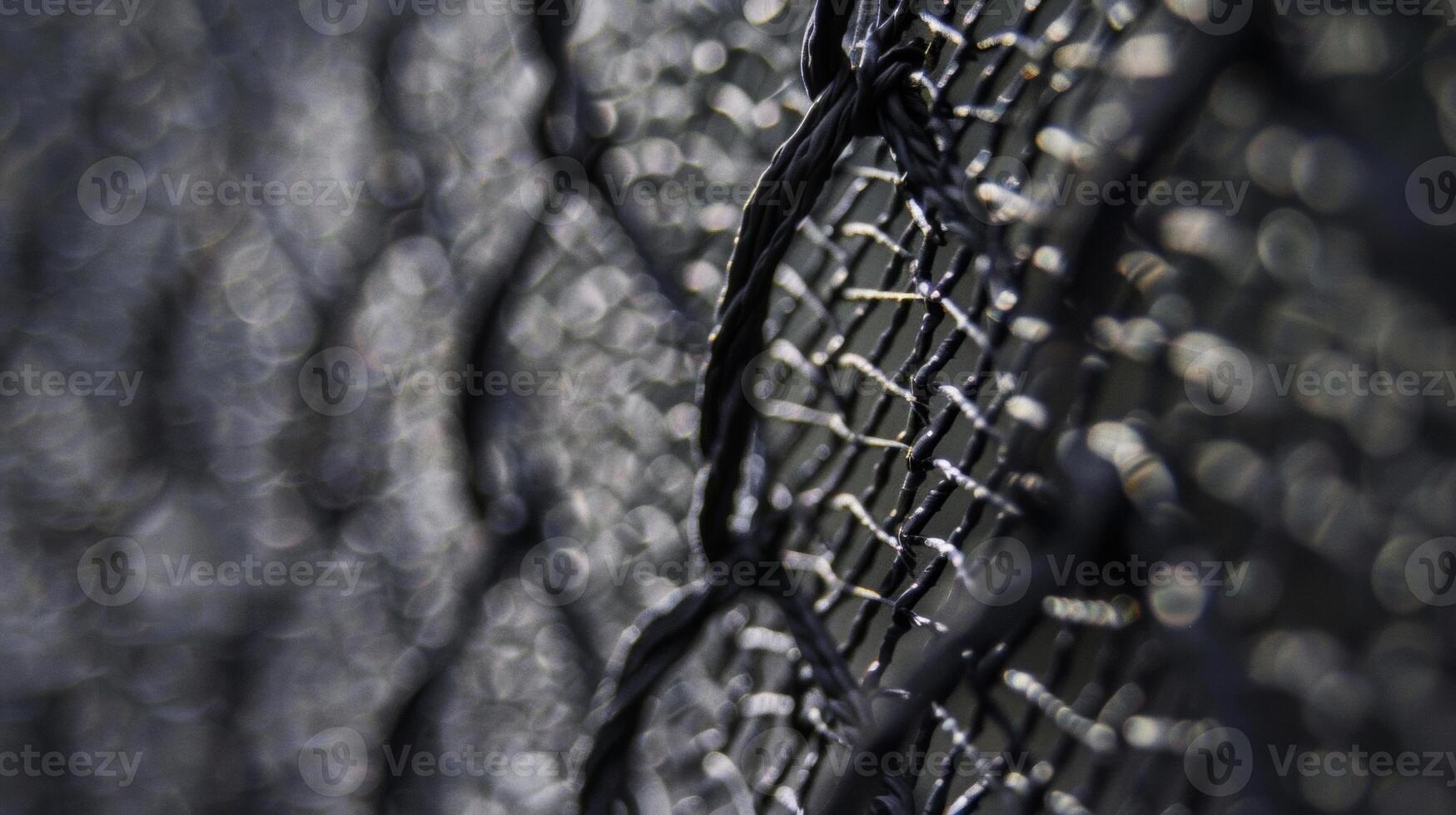A closeup shot of the protective netting highlighting its sy and durable material that can withstand high winds and other elements photo
