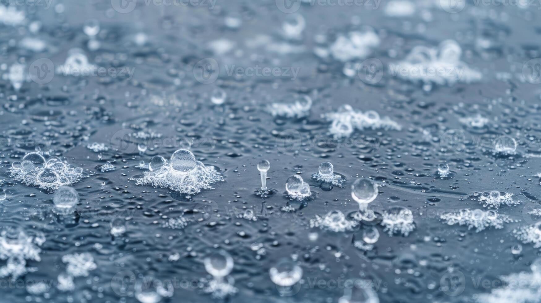 A of small frozen ane bubbles creating a unique pattern on a frozen lake photo