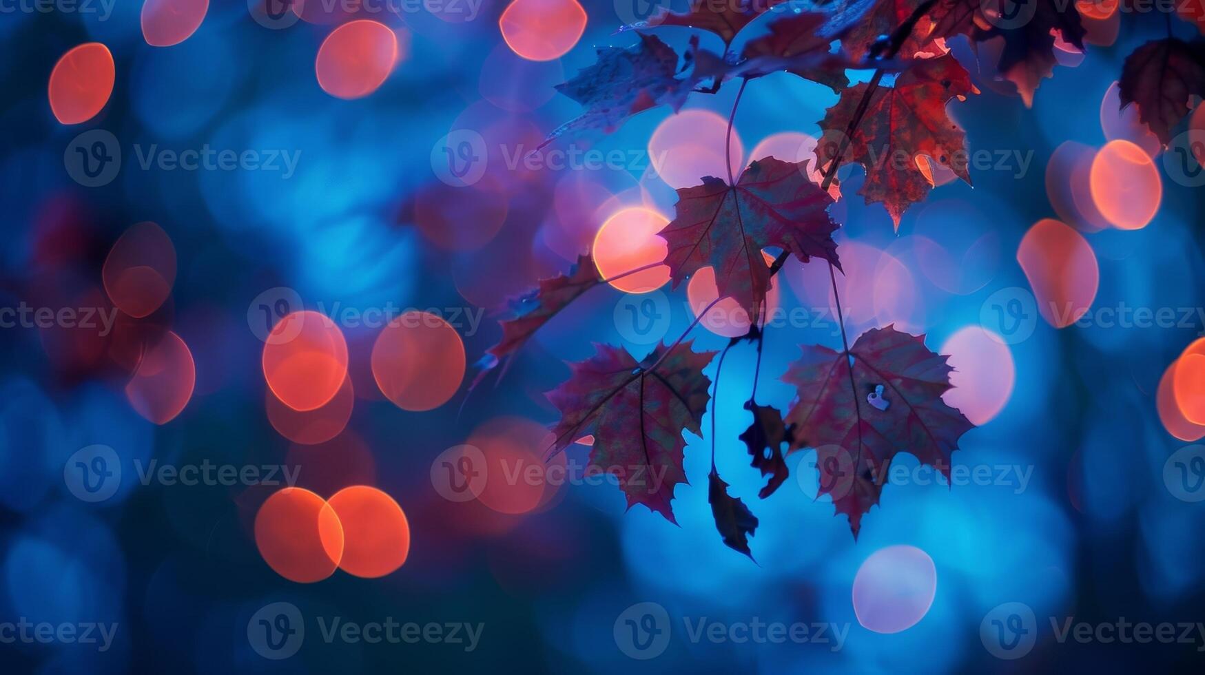 As the evening sky fades to an indigo blue the brilliant leaves of a sugar maple tree seem to glow with their own light photo