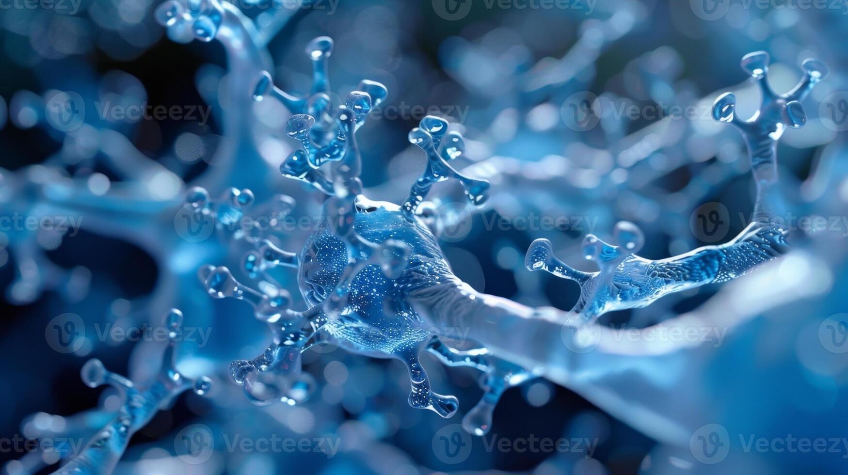 Here we can see the intricate branching patterns of hyaluronic acid a major component of the extracellular matrix photo
