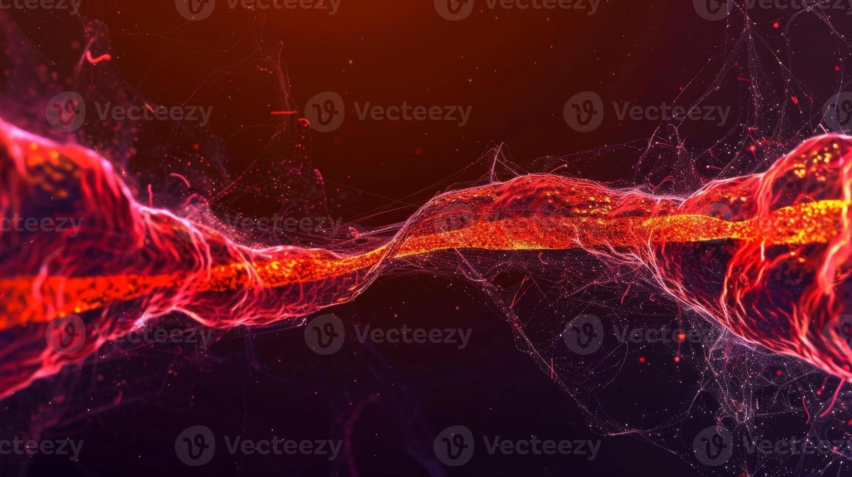 Two endothelial cells bridging a gap between two larger vessels their specialized tight junctions visible as thin lines connecting them photo