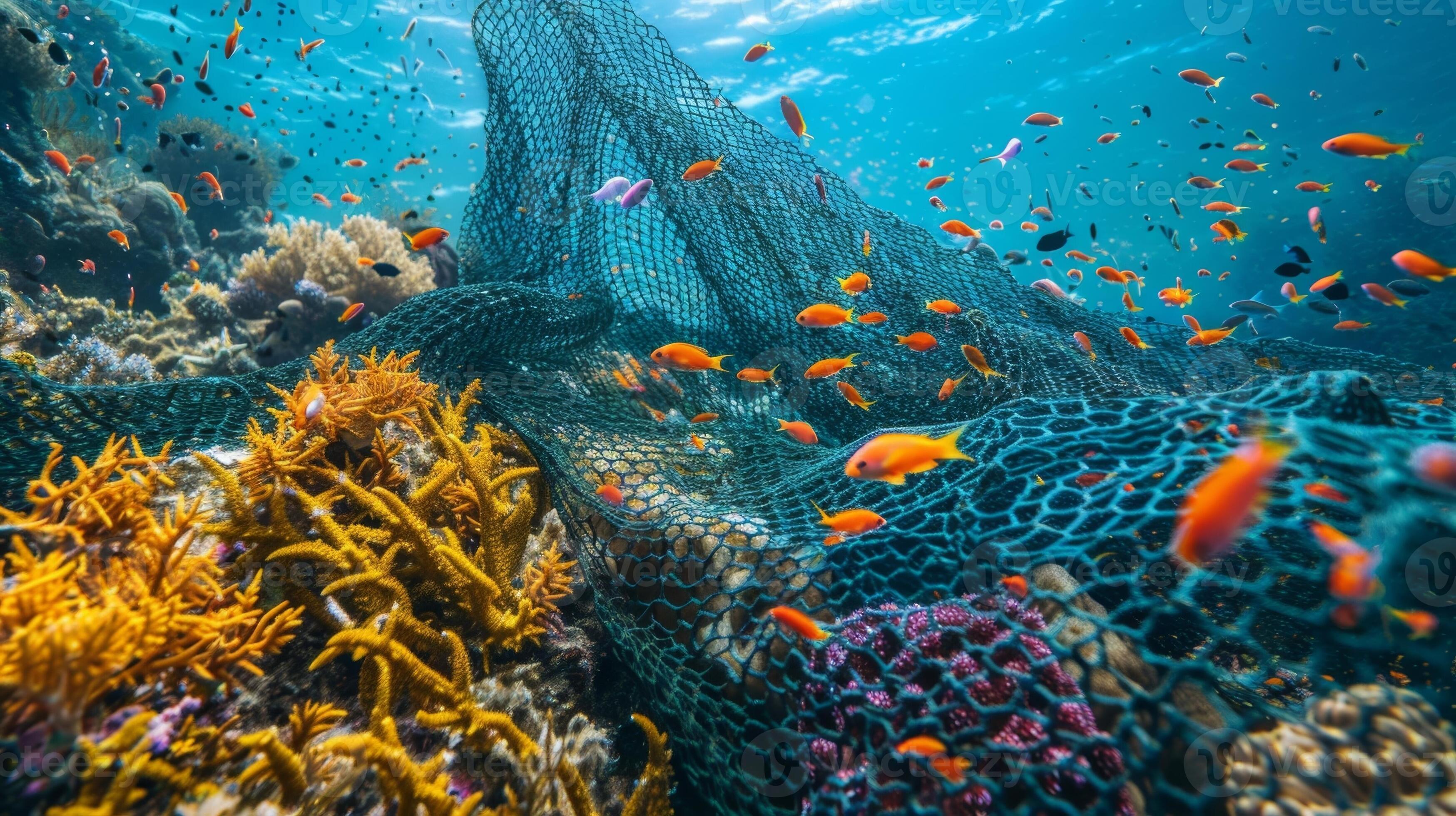 Coral Reef Onlyfans: Is It Sustainable? - he5qdeq