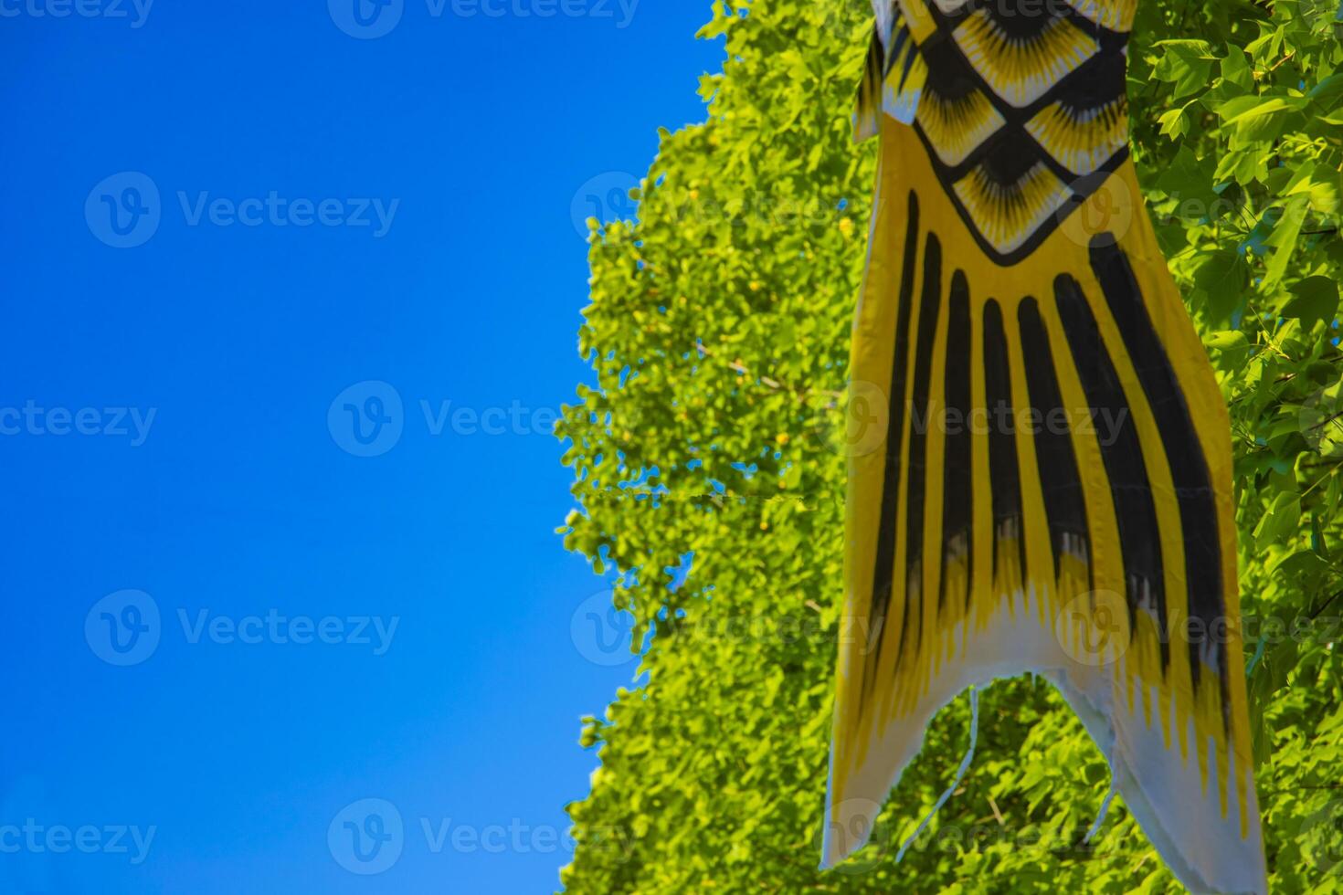Carp streamer at the park in Tokyo daytime sunny photo