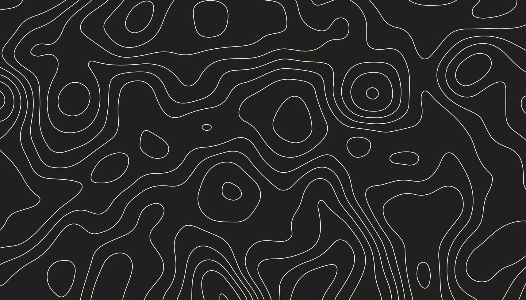 abstract pattern with lines. background of the topographic map. elevation contouring outline cartography texture. geographic abstract grid. futuristic wireframe lands. black and white seamless pattern vector
