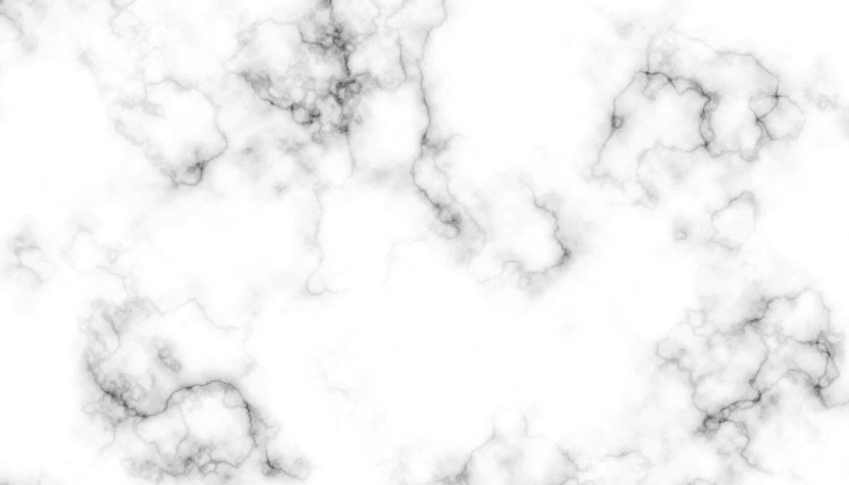 Marble texture abstract background. White marble texture. black wave cracks. vector
