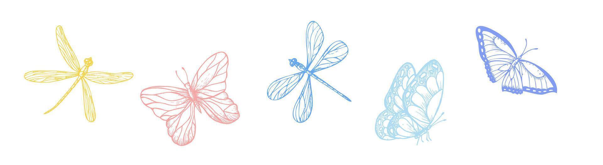 set of butterflies and dragonflies. Hand painted linear insects. Graphic clipart isolated on background. Botanical and wedding illustration. For designers, invitations, decoration, postcards vector