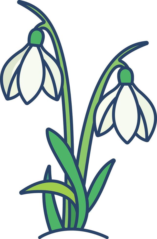 Snowdrop flower linear color illustration vector