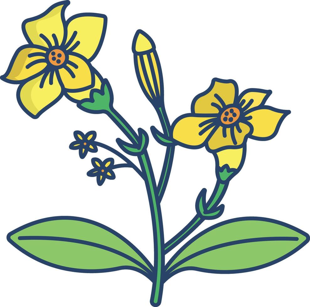 Alakananda flower linear color illustration vector