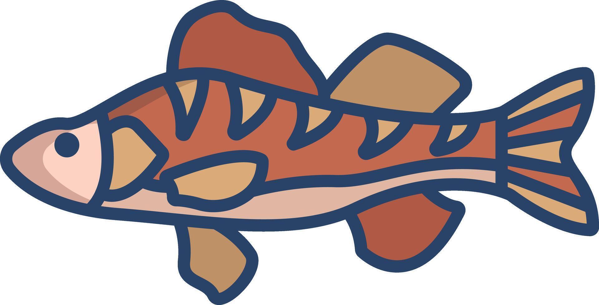 Perch Fish linear color illustration vector