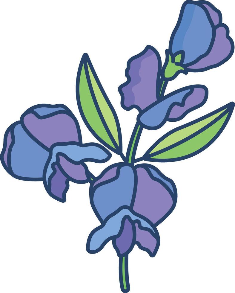 flower linear color illustration vector