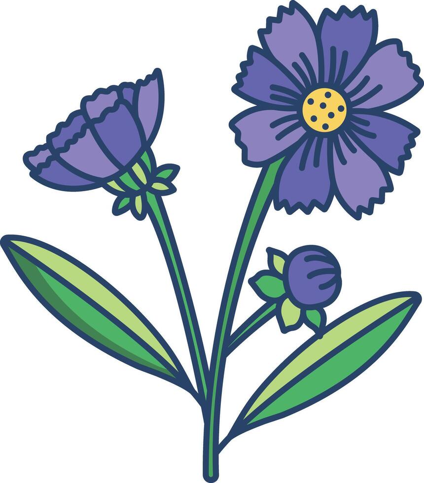 Tickseed flower linear color illustration vector