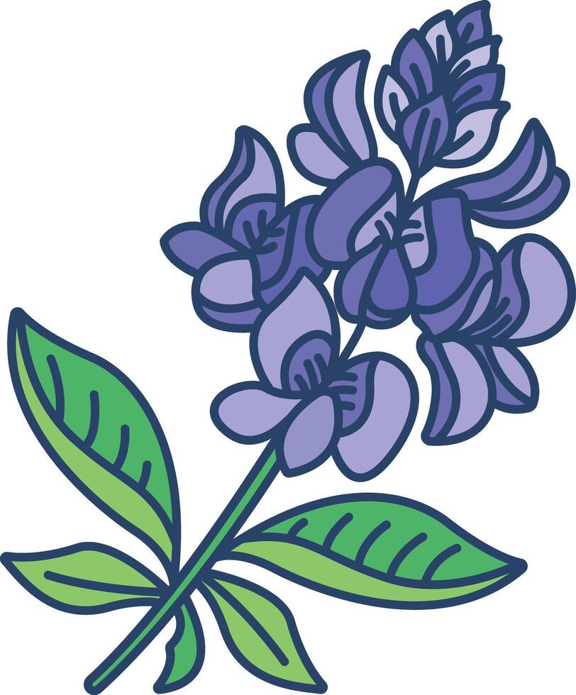Bluebonnet flower linear color illustration vector