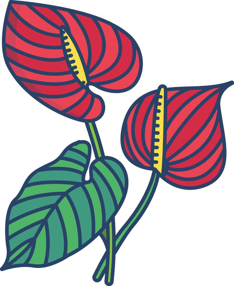 Anthurium flower linear color illustration vector