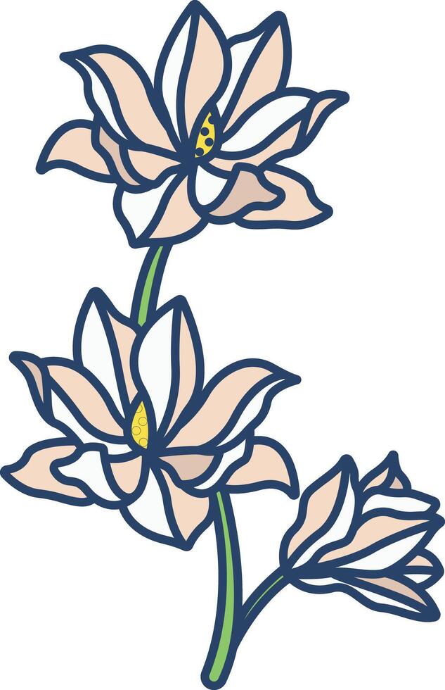 magnolia flower linear color illustration vector