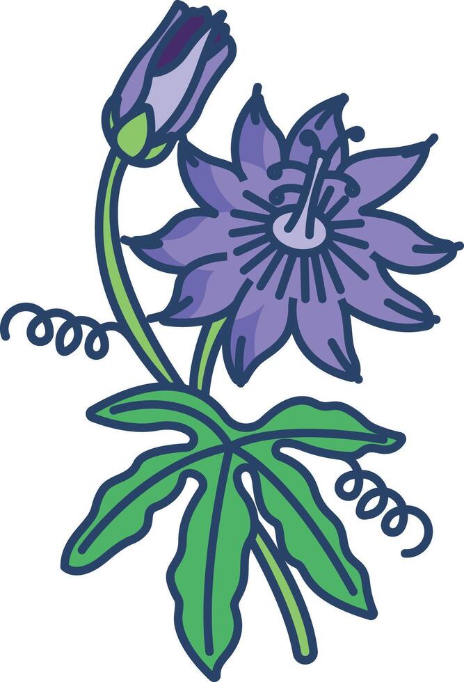 Passion flower linear color illustration vector