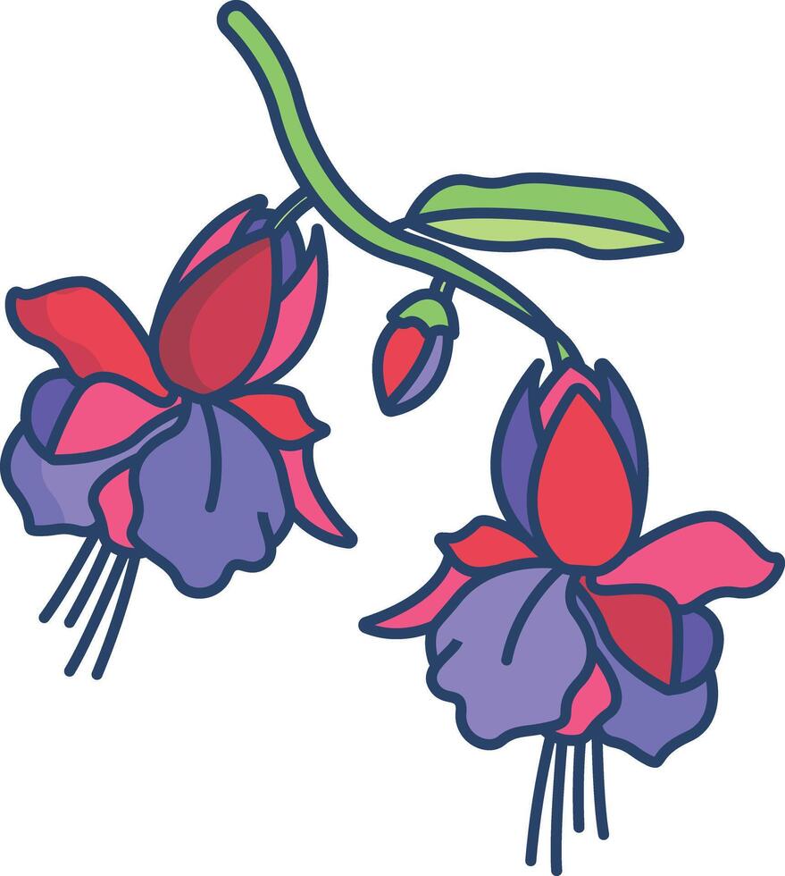 Fuchsia flower linear color illustration vector