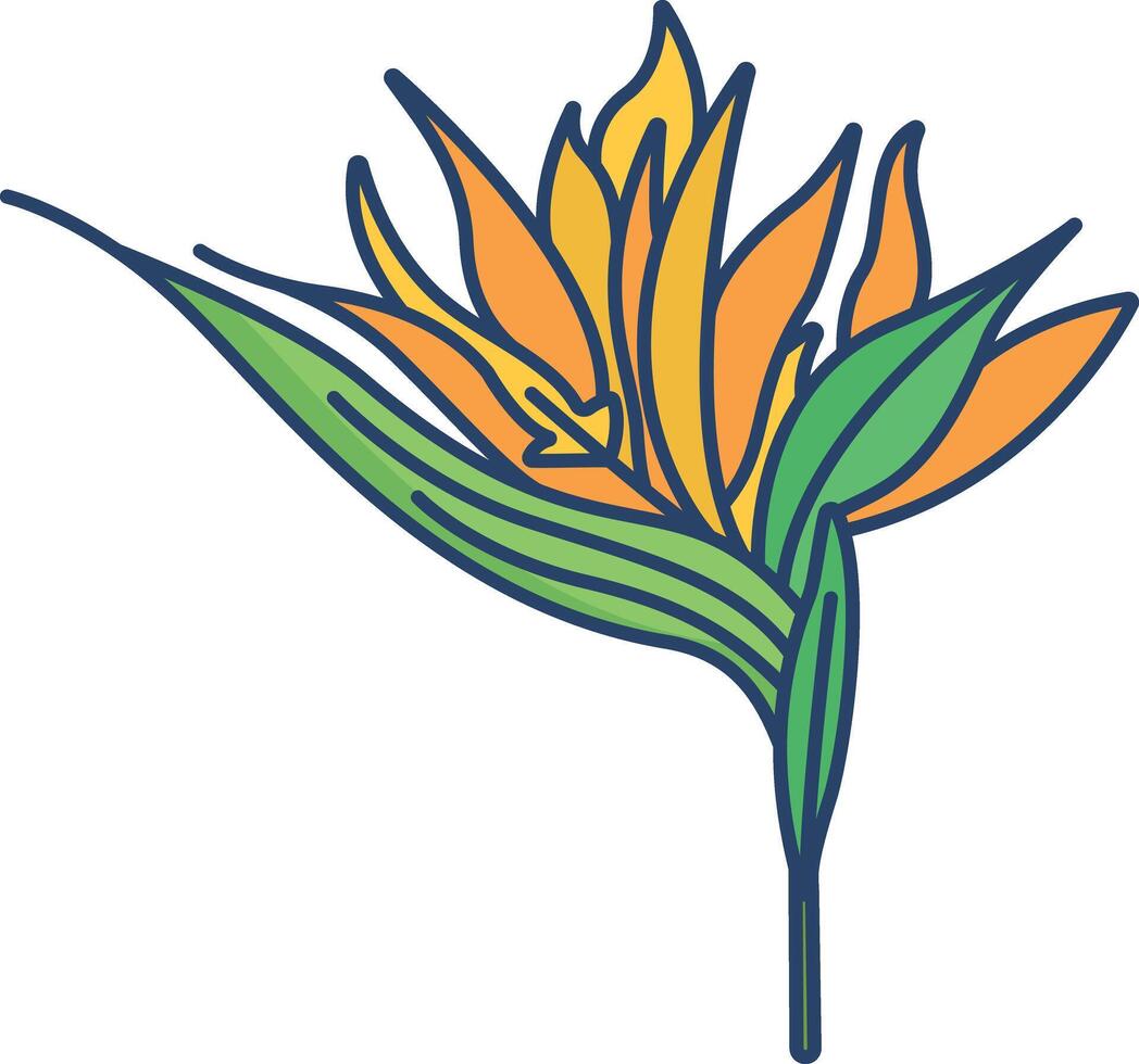 Strelitzia flower linear color illustration vector