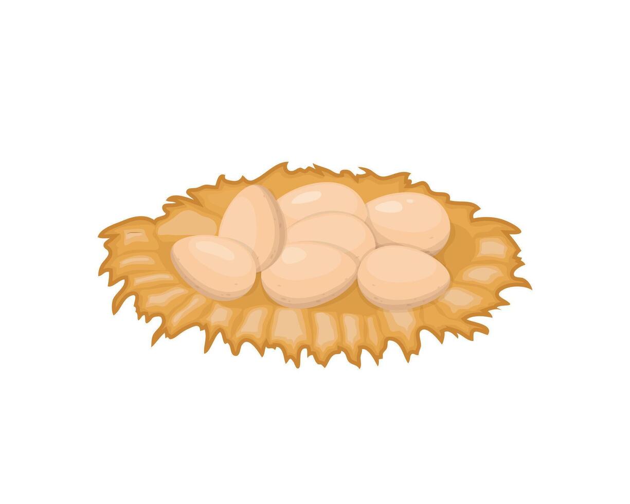 Nest with eggs. Cartoon food illustration isolated on white background. vector