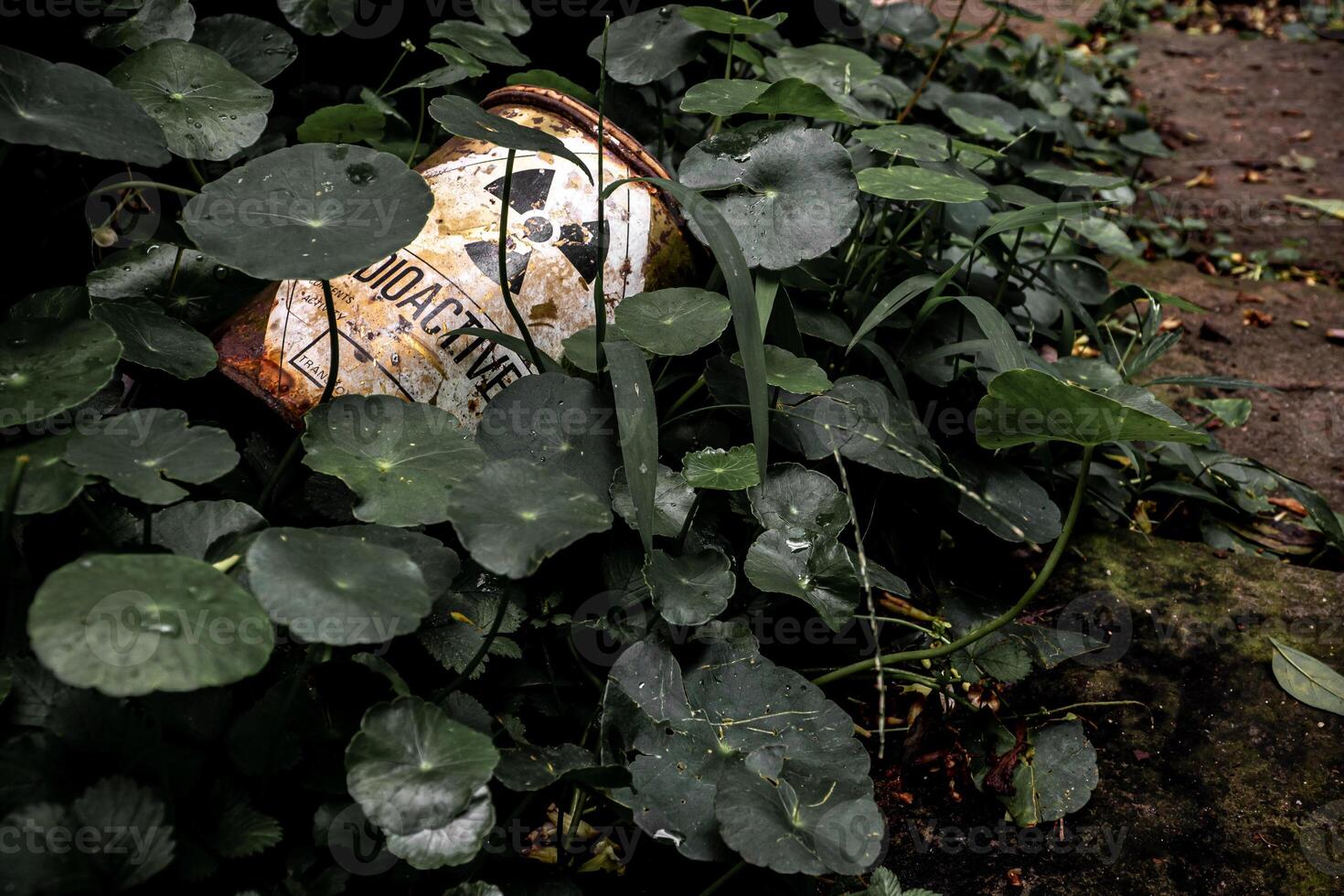 Industrial waste Radioactive material container left behind in the weeds photo