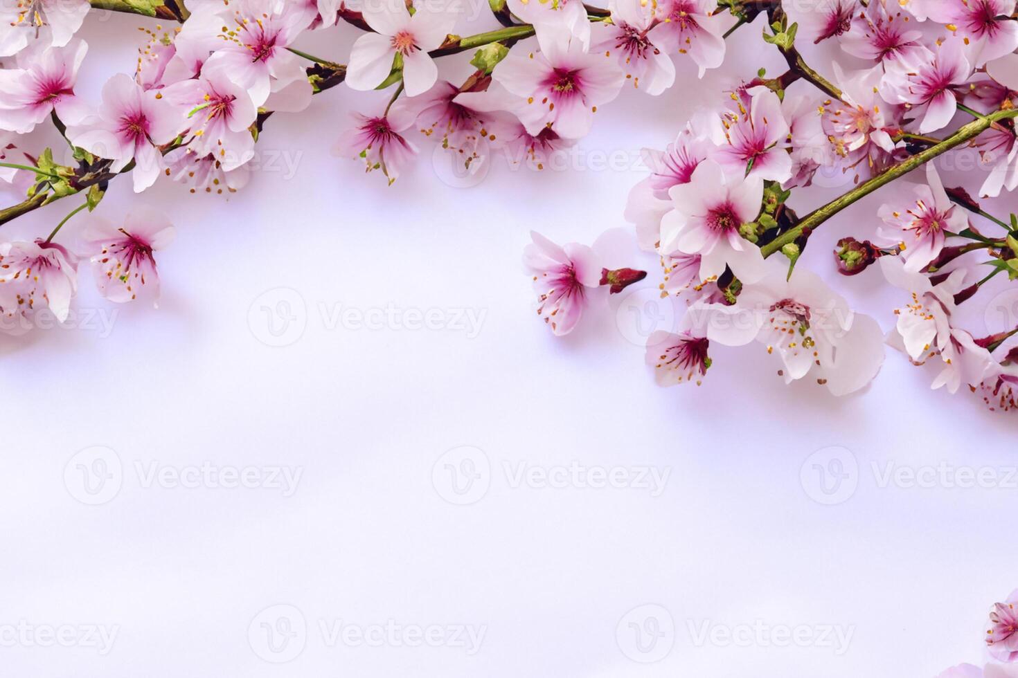 Graceful Harmony Beautiful Cherry Blossom on Blank Paper, Capturing Timeless Beauty and Serenity, Perfect for Artistic Presentations and Creative Projects photo