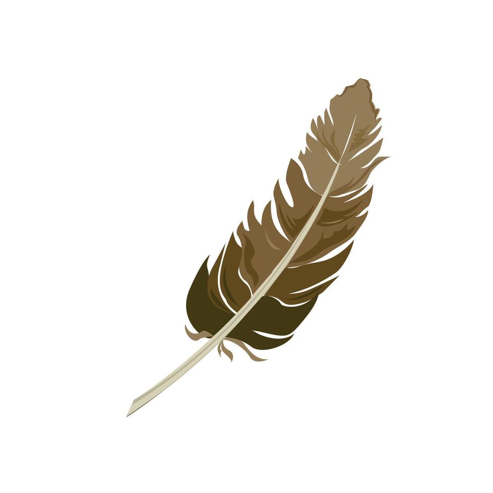 Feather Graphics in flat style vector