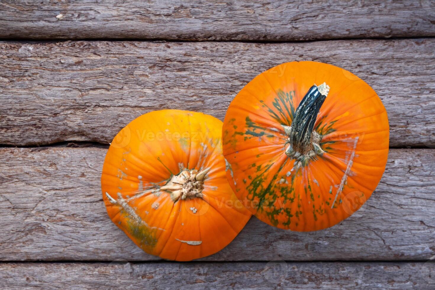 The Enchanting Beauty of Pumpkins A Celebration of Vibrant Colors and Autumnal Charm Capturing the Essence of Harvest Season in Every Curve and Contour photo
