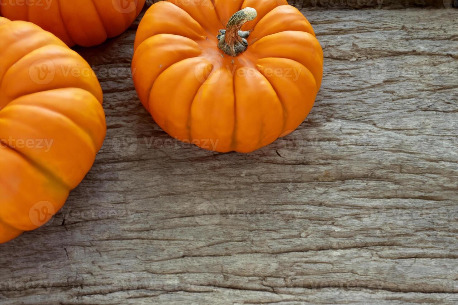 The Enchanting Beauty of Pumpkins A Celebration of Vibrant Colors and Autumnal Charm Capturing the Essence of Harvest Season in Every Curve and Contour photo