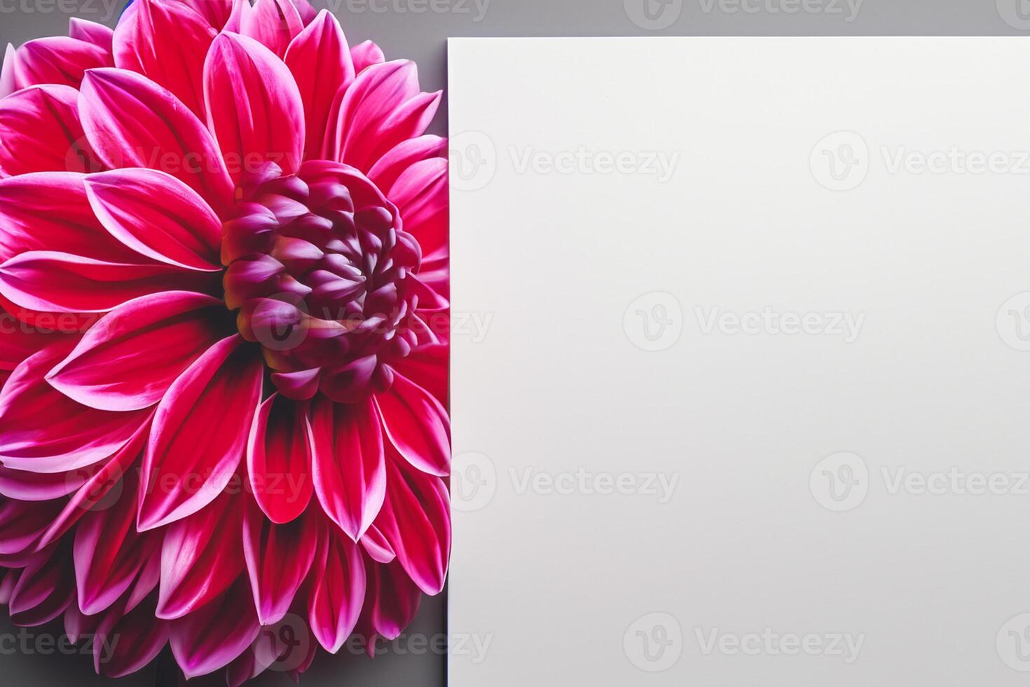 Beautiful Flower on White Background Mockup Elegance in Simplicity, Nature's Grace Captured photo