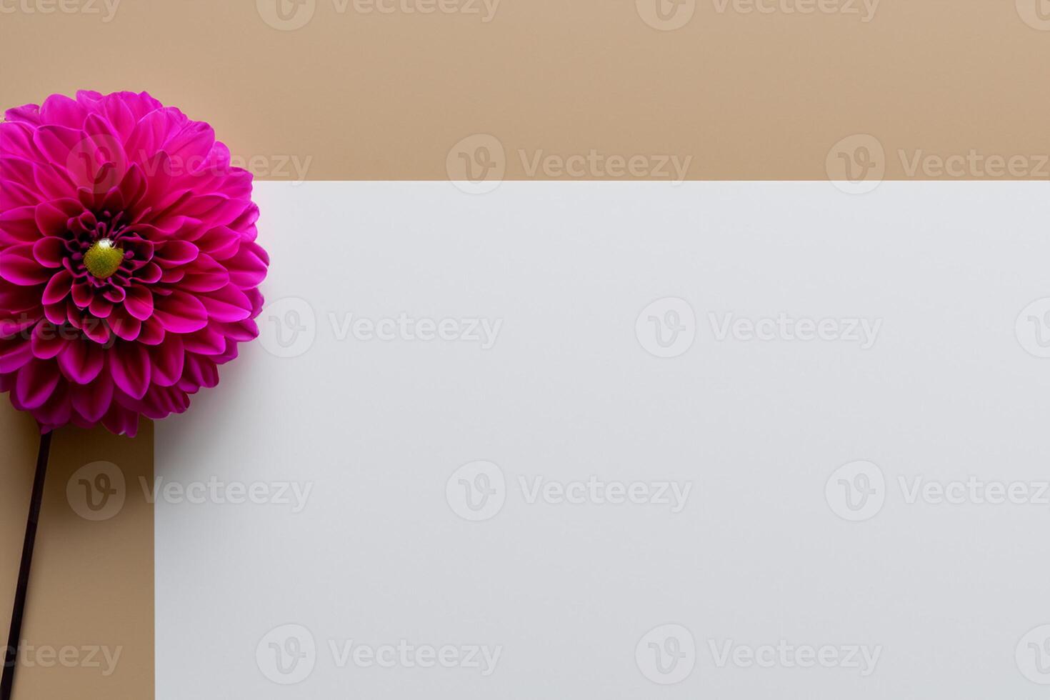 Beautiful Flower on White Background Mockup Elegance in Simplicity, Nature's Grace Captured photo