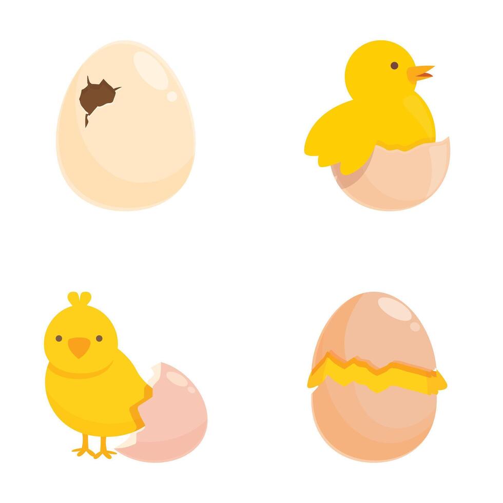 Cute cartoon chick hatching sequence vector