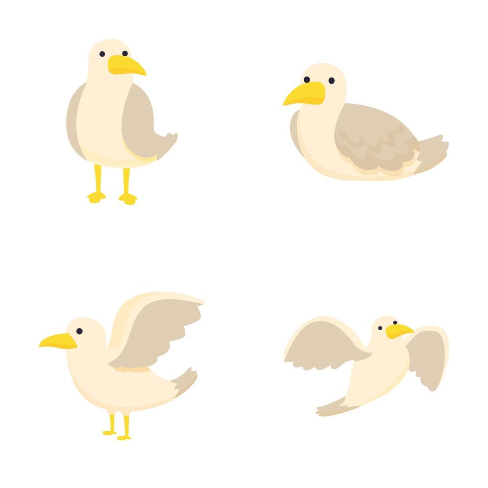 Set of cartoon seagulls in various poses vector
