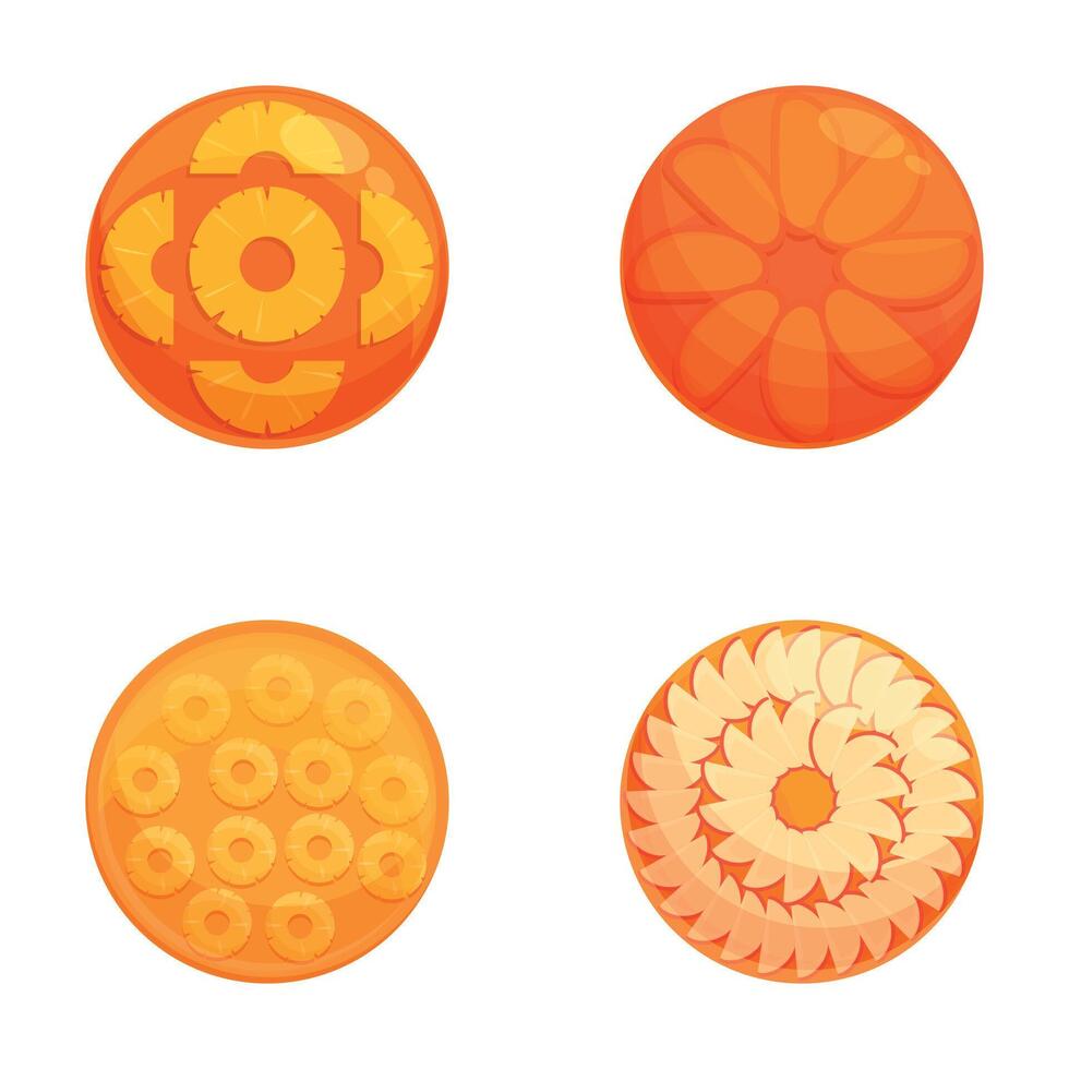 Colorful citrus fruit slices set vector