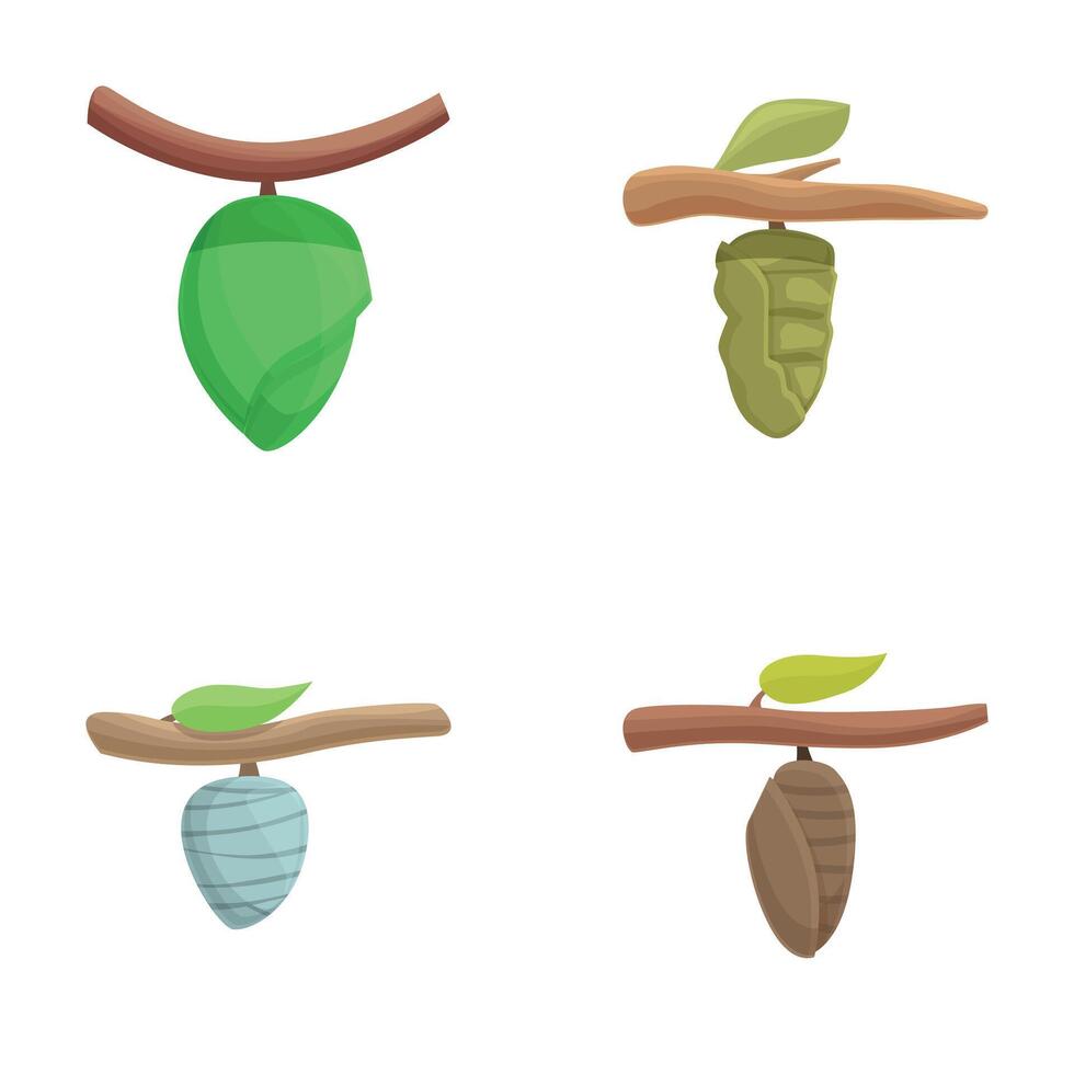 Set of cartoon cocoon transformations vector