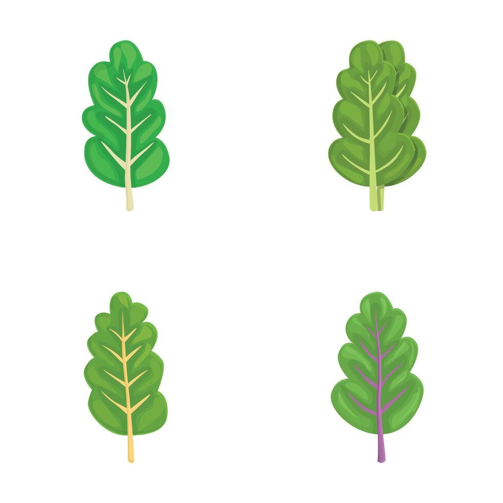 Set of cartoon spinach leaves illustrations vector