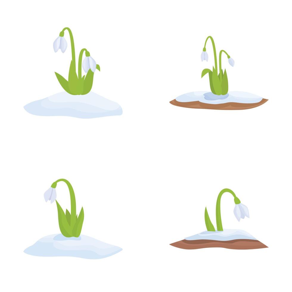 Four stages of snowdrops emerging from snow to soil, depicting the transition from winter to spring vector
