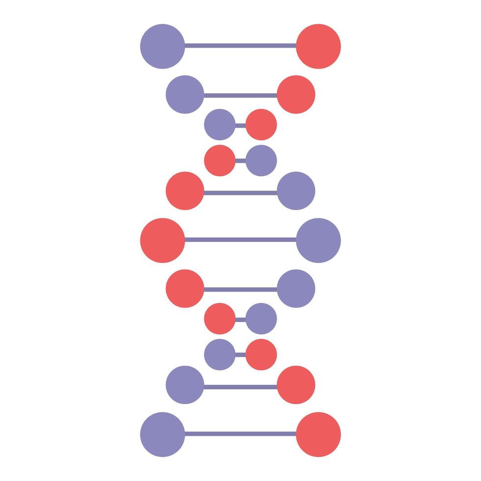 Simplified graphic of a dna double helix in purple and red hues vector