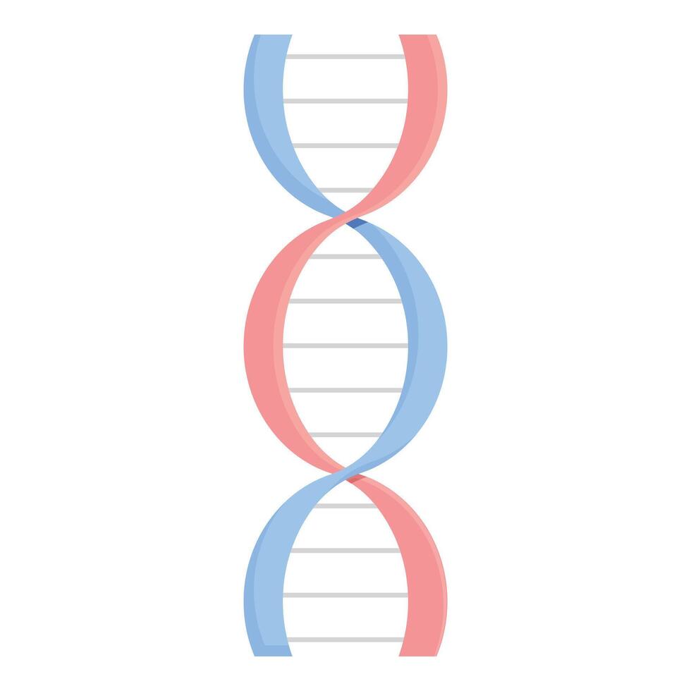 Simplified dna double helix illustration vector
