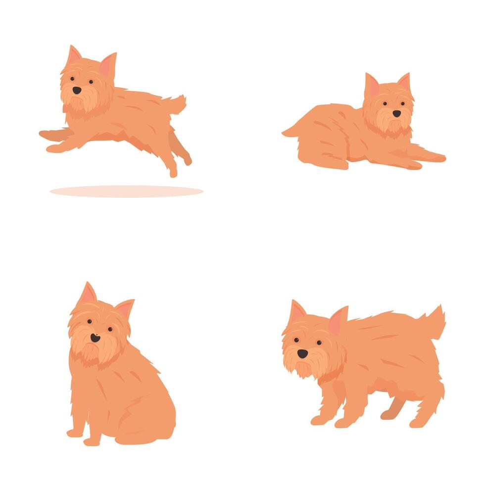 Set of cartoon scottish terrier dogs in various poses vector
