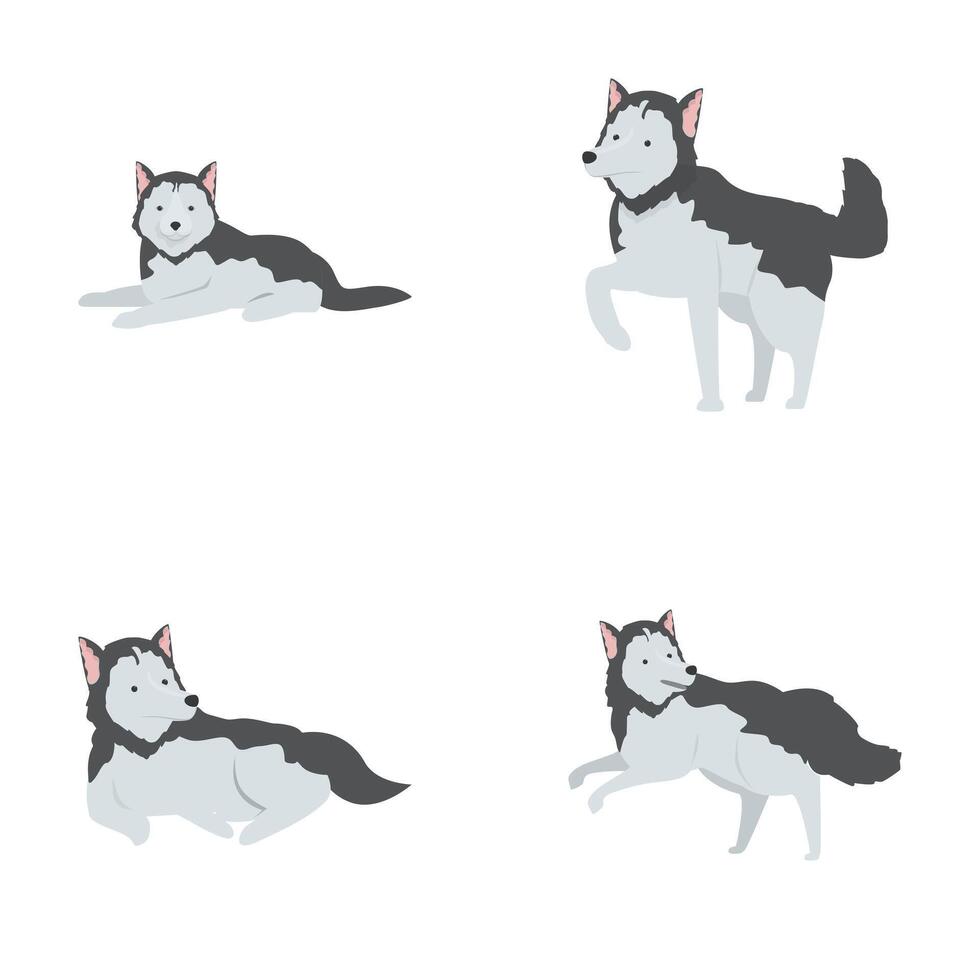Cartoon siberian husky set in various poses vector