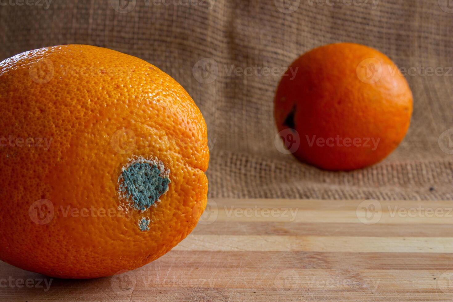 Moldy or rotten orange fruit photo