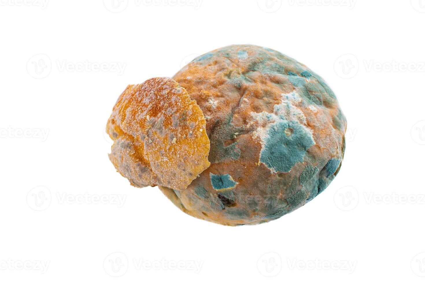 Moldy bread, closeup photo. Mildew covered food. photo