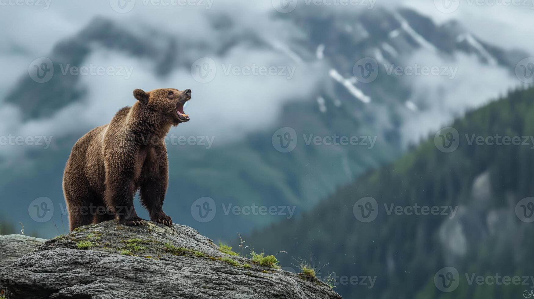 Grizzly bear roaring on a rocky outcrop, majestic mountains in the background photo