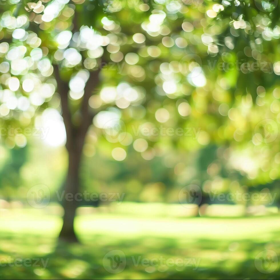 Blurred park garden tree in nature background photo