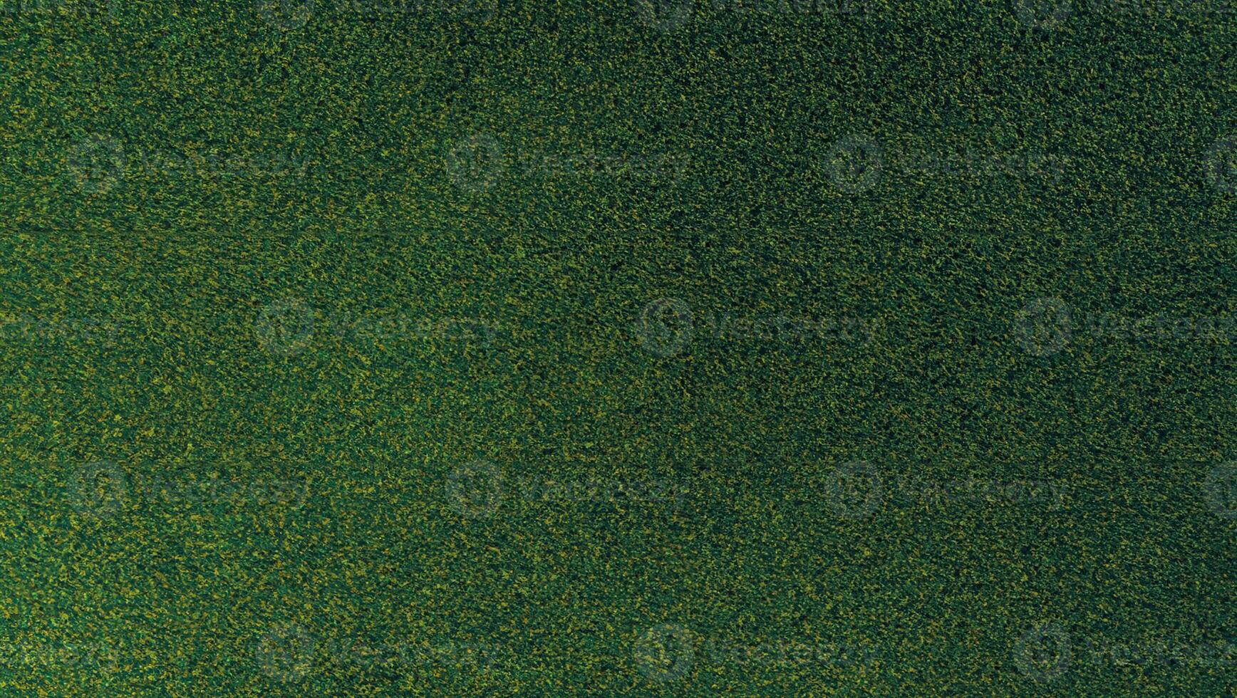 Luxurious Green Natural Carpet Texture, Ideal for Brochures, Invitations, Ads, and Web Templates photo