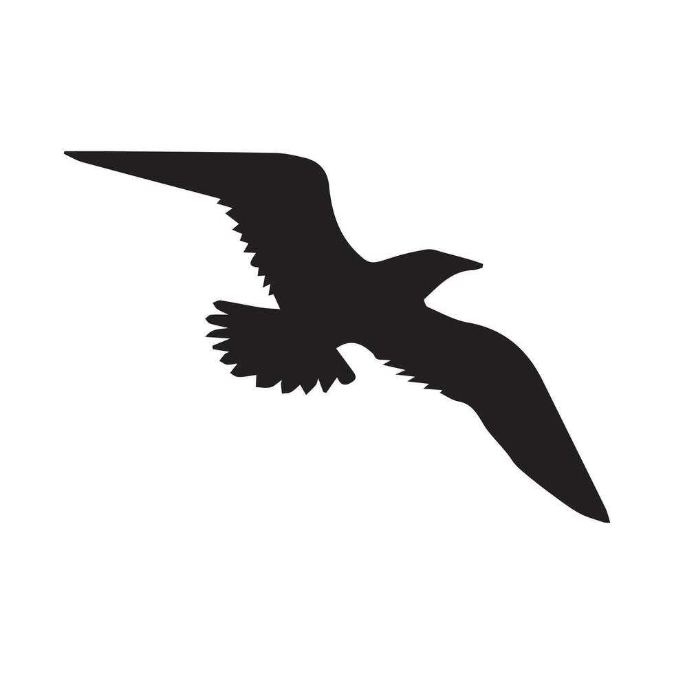 seagull silhouette - seagull flying Outline Illustration in black and white vector