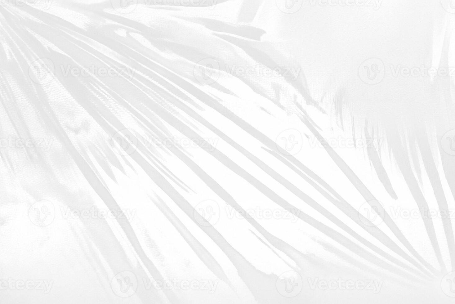 Minimalist White Background with Elegant Wrapping Texture photo