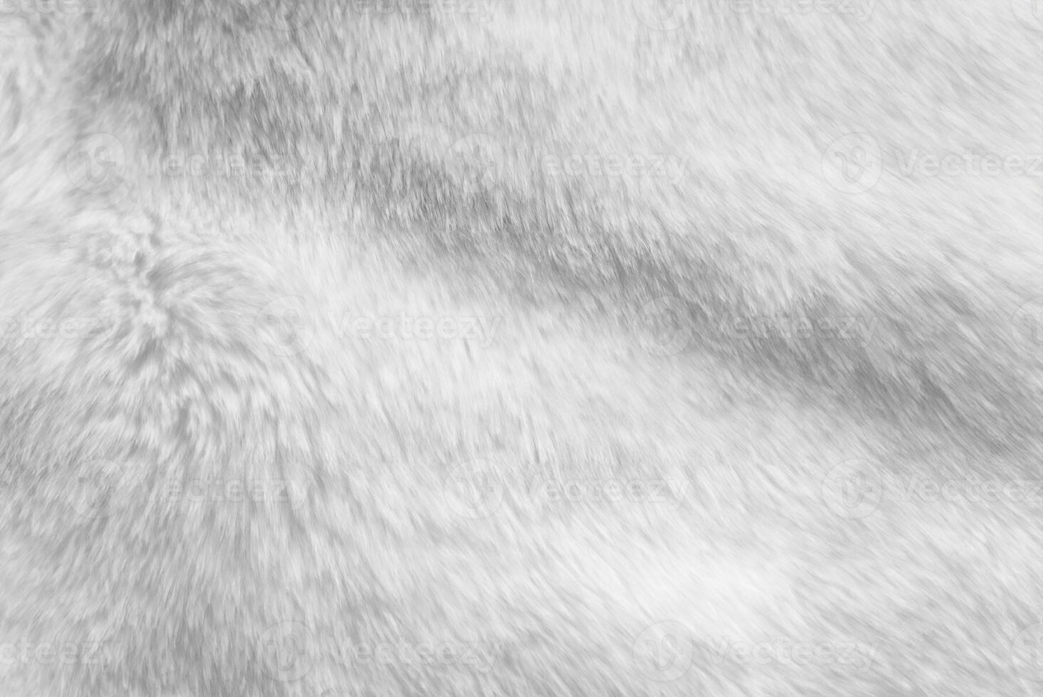 White Fur Texture, Clean Background for Professional Projects photo